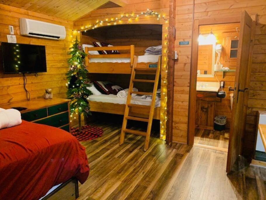Honeybear Hideaway Cabin Hayward Exterior foto