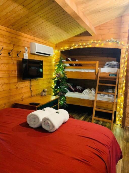 Honeybear Hideaway Cabin Hayward Exterior foto