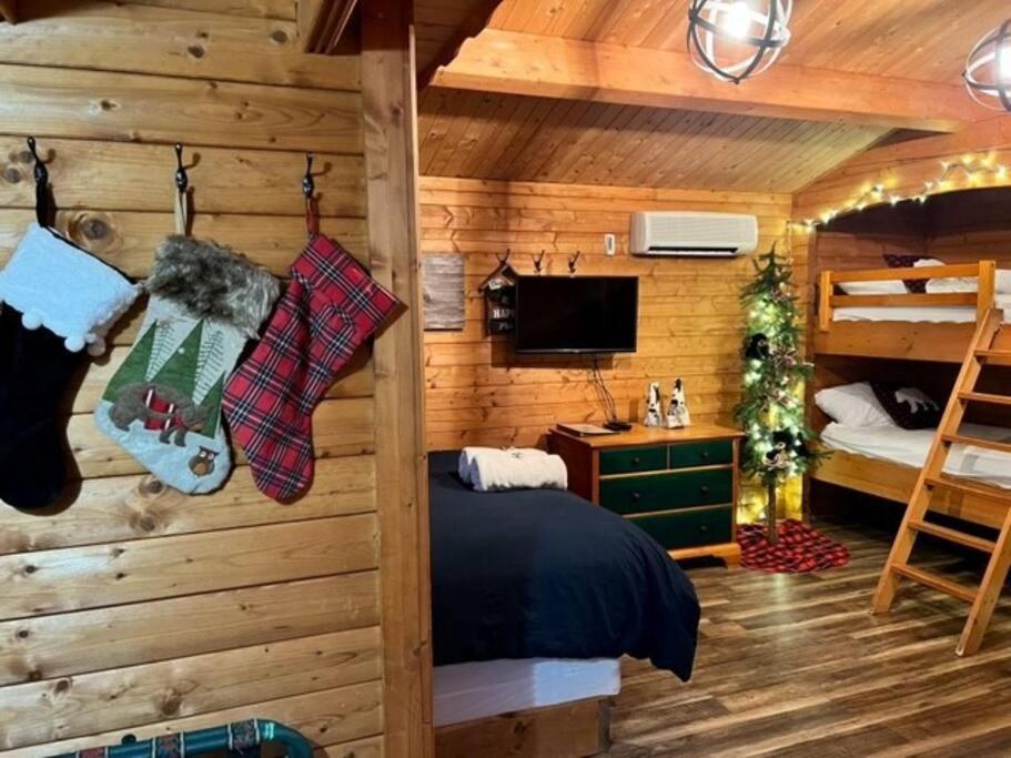 Honeybear Hideaway Cabin Hayward Exterior foto